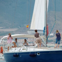 Avistamiento de cetáceos en Blue Jack Sail Tenerife 8