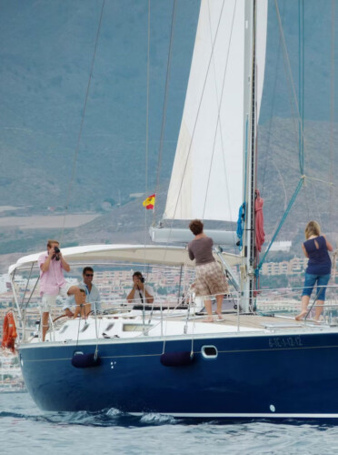 Avistamiento de cetáceos en Blue Jack Sail Tenerife 8