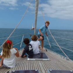 Avistamiento de cetáceos en Blue Jack Sail Tenerife 9