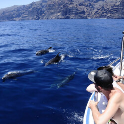 Gladiator U Avistamiento de Cetáceos Tenerife 5