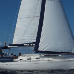 Gran Azor Walbeobachtung Teneriffa 1