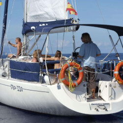 Gran Azor Walbeobachtung Teneriffa 3