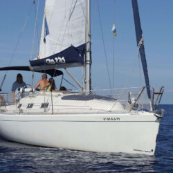 Gran Azor Walbeobachtung Teneriffa 4