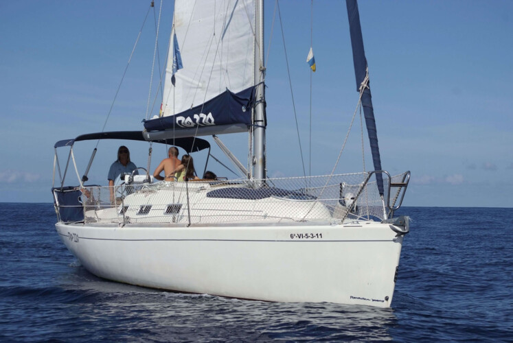 Gran Azor Walbeobachtung Teneriffa 4