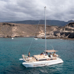 Kalima Kat whale watching Tenerife 1