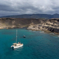 Kalima Kat whale watching Tenerife 12