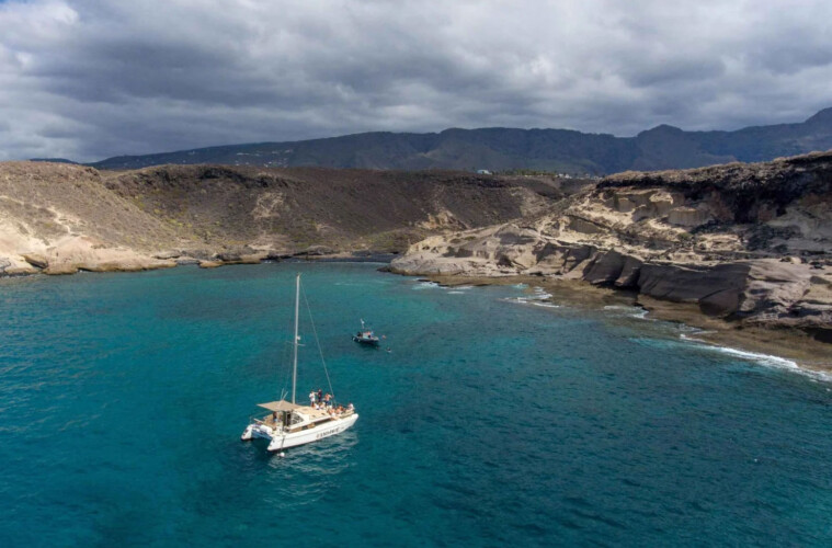 Kalima Kat whale watching Tenerife 12