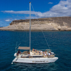 Kalima Kat whale watching Tenerife 2