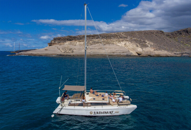 Kalima Kat whale watching Tenerife 2