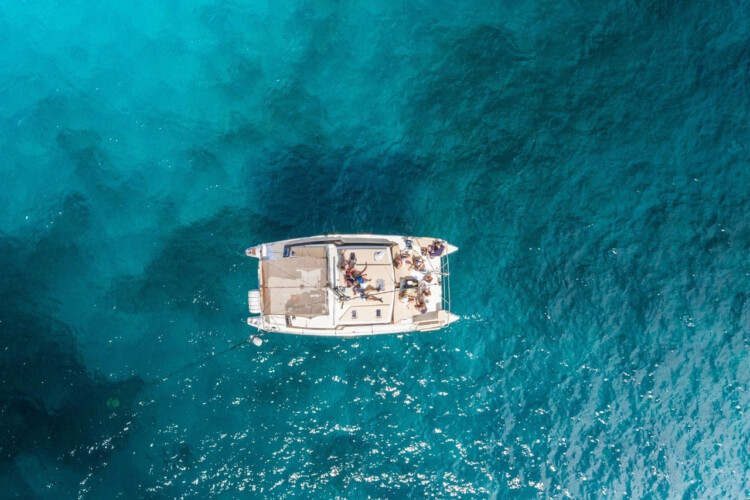 Kalima Kat whale watching Tenerife 3