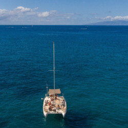 Kalima Kat whale watching Tenerife 4
