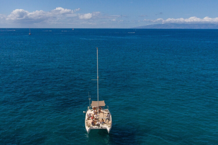 Kalima Kat whale watching Tenerife 4