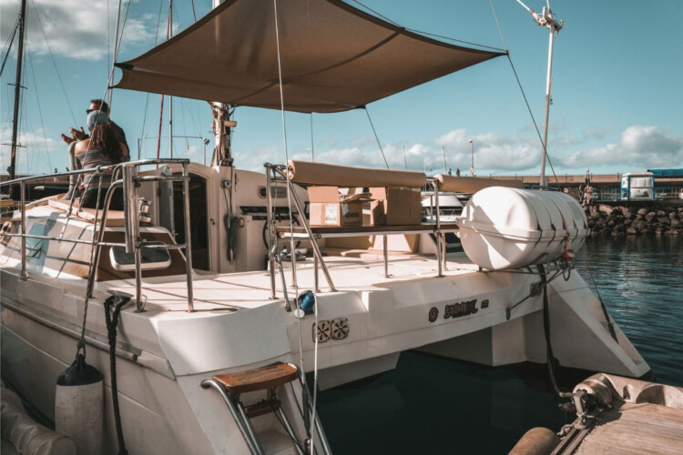 Kalima Kat whale watching Tenerife 5