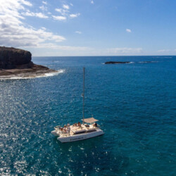 Kalima Kat whale watching Tenerife 6