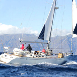 Avistamiento de ballenas Lady Elsie Tenerife 2