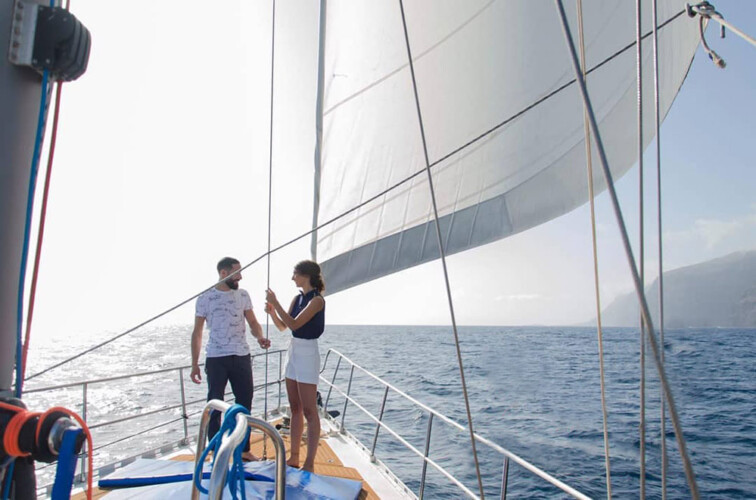 Avistamiento de ballenas Lady Elsie Tenerife 4