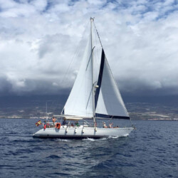 Avistamiento de ballenas Lady Elsie en Tenerife 5