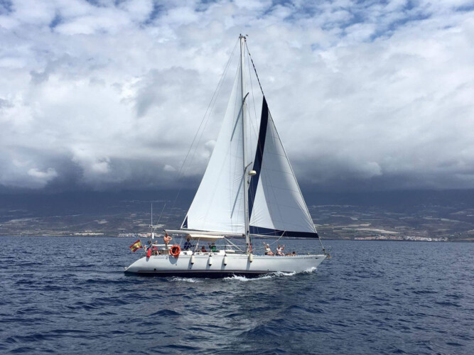Avistamiento de ballenas Lady Elsie en Tenerife 5