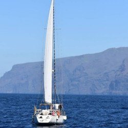Avistamiento de ballenas Lady Elsie Tenerife 9