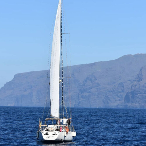 Avistamiento de ballenas Lady Elsie Tenerife 9