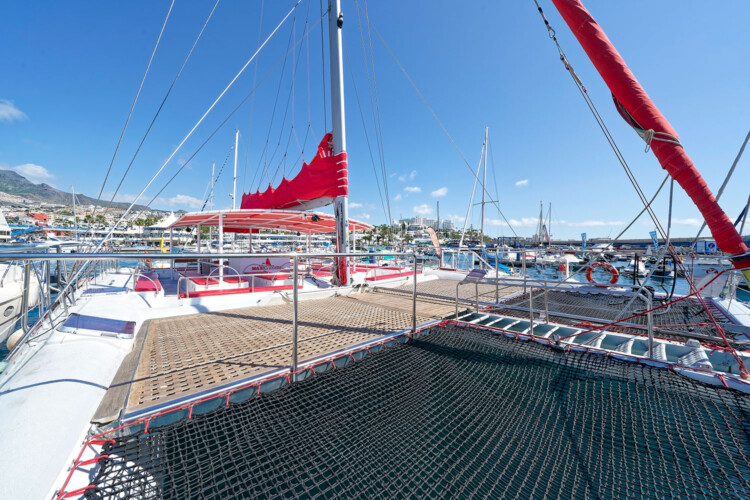 Avistamiento de cetáceos Maxicat Tenerife 1