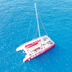 Avistamiento de cetáceos Maxicat Tenerife 10