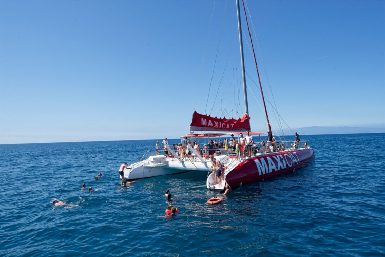 Avistamiento de cetáceos Maxicat Tenerife 6