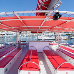 Avistamiento de cetáceos Maxicat Tenerife 7