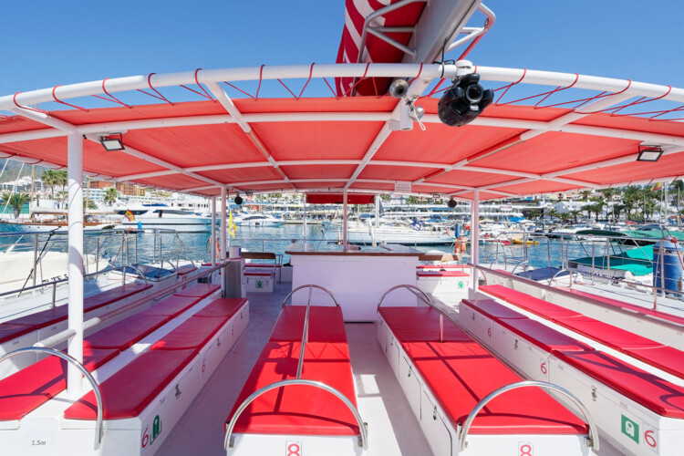 Avistamiento de cetáceos Maxicat Tenerife 7