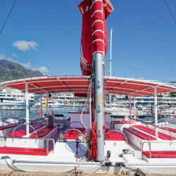 Avistamiento de cetáceos Maxicat Tenerife 8