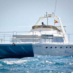 Monte Cristo Walbeobachtung Teneriffa 1