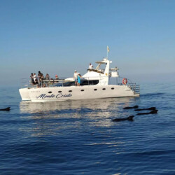 Monte Cristo Walbeobachtung Teneriffa 2