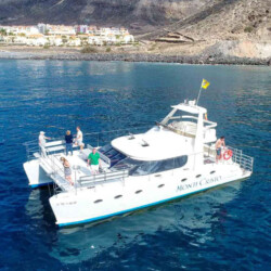 Monte Cristo Walbeobachtung Teneriffa 3