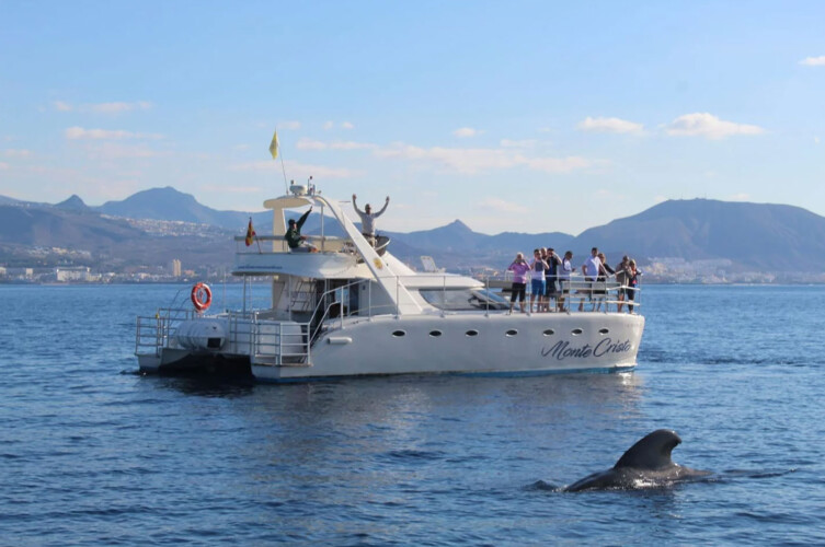 Monte Cristo Walbeobachtung Teneriffa 4