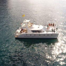 Monte Cristo Walbeobachtung Teneriffa 5