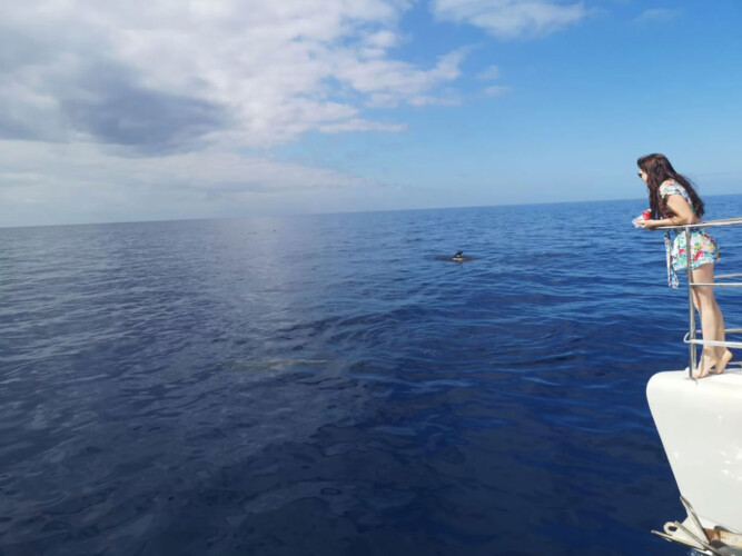 Monte Cristo Walbeobachtung Teneriffa 7