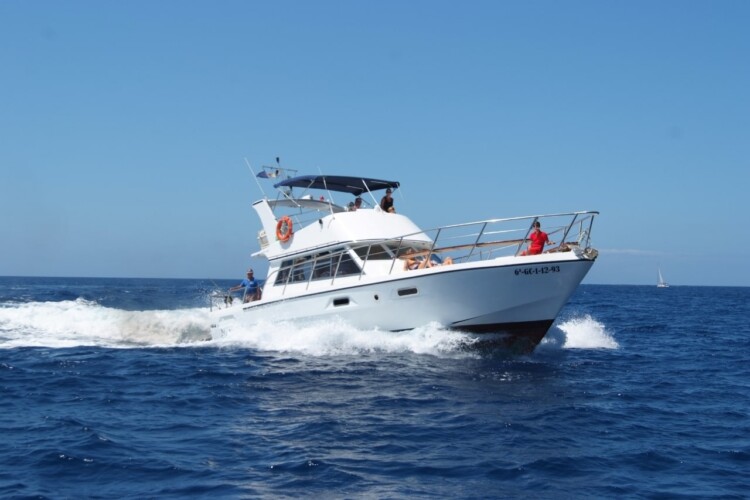 Neptuno Walbeobachtung Teneriffa 1