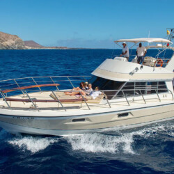 Neptuno Walbeobachtung Teneriffa 10