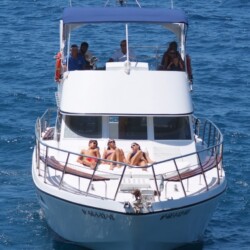 Neptuno Walbeobachtung Teneriffa 2