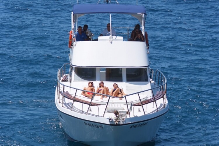 Neptuno Walbeobachtung Teneriffa 2