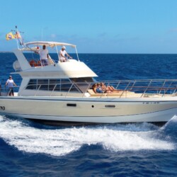 Neptuno Walbeobachtung Teneriffa 3