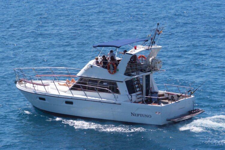 Neptuno Walbeobachtung Teneriffa 4