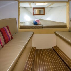 Neptuno Walbeobachtung Teneriffa 7