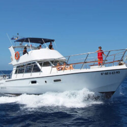 Neptuno Walbeobachtung Teneriffa 8