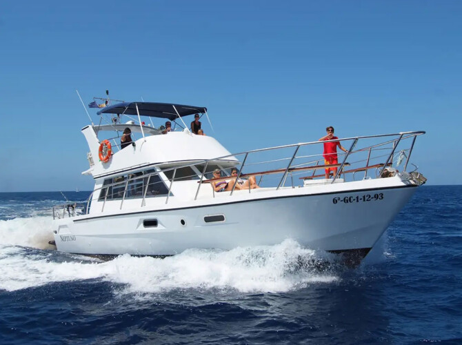 Neptuno Walbeobachtung Teneriffa 8