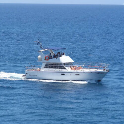 Neptuno Walbeobachtung Teneriffa 9