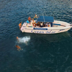 Avistamiento de ballenas azules en Tenerife 1