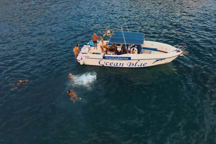 Avistamiento de ballenas azules en Tenerife 1