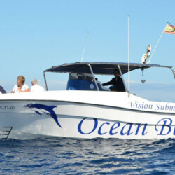 Avistamiento de ballenas en el océano azul Tenerife 10