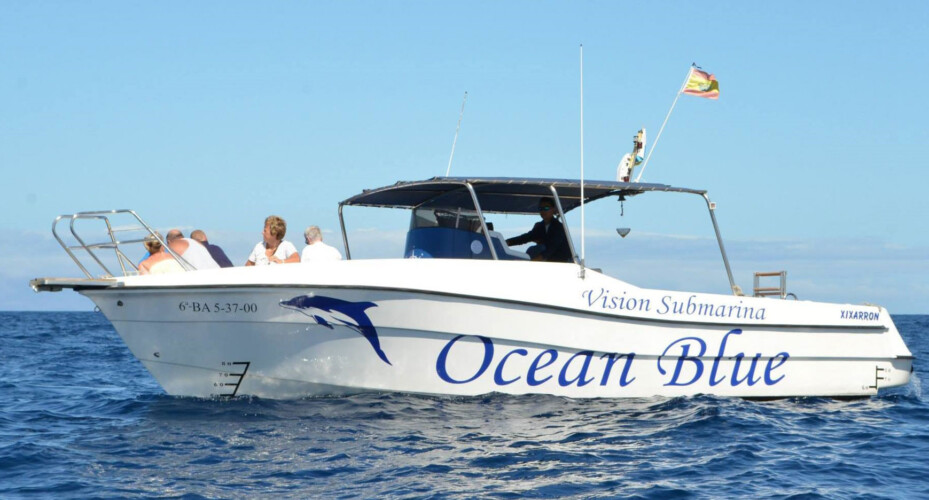 Avistamiento de ballenas en el océano azul Tenerife 10